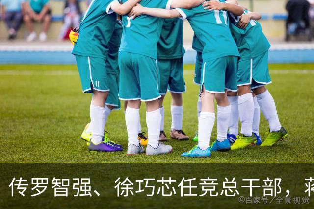 传罗智强、徐巧芯任竞总干部，蒋万安：“台北队”就是团体作战