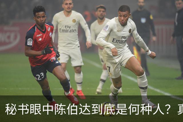 秘书眼中陈伯达到底是何种人？真实形象究竟如何揭秘！